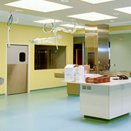 Vet Clinic Treatment Room