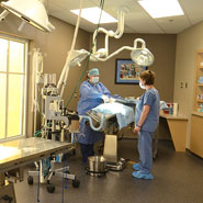 Veterinary Critical Care Hospital Surgery