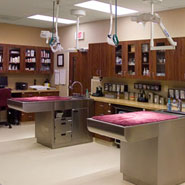 Animal Clinic Lab Treatment Room