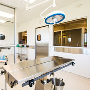 Veterinary Hospital Surgery Room