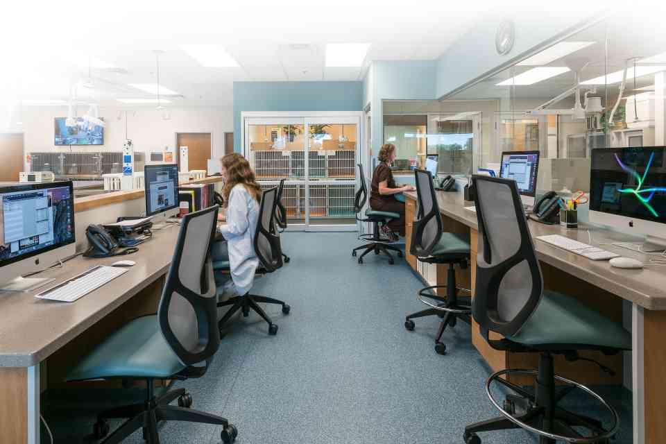 Photo of Veterinary Office Interior
